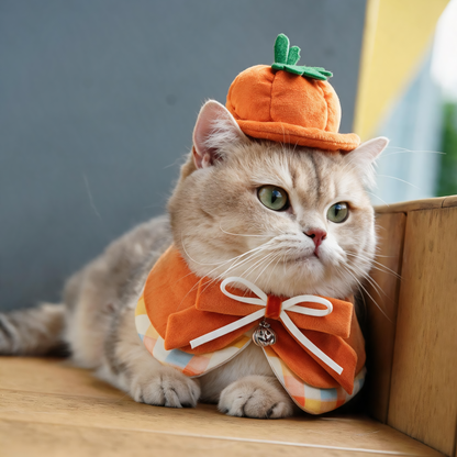Pumpkin Scholar Pet Bib Collar – Outfit for Cats & Dogs