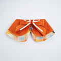 Pumpkin Scholar Pet Bib Collar – Outfit for Cats & Dogs