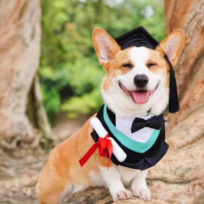 Graduate Pet Hat – Dog & Cat Graduation Cap