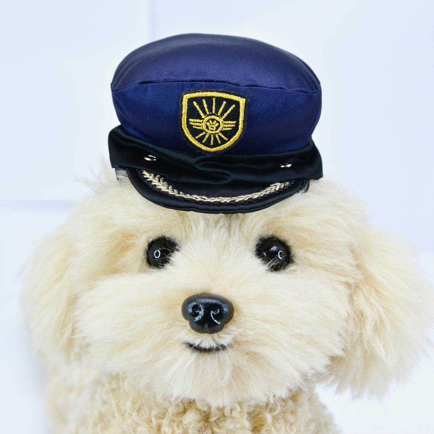 Air Pilot Pet Hat