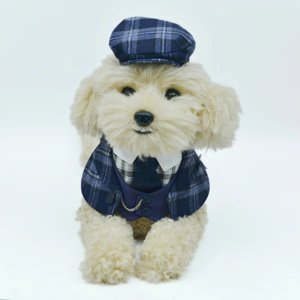 Charles Classic Check Pet Hat for Cats & Small Dogs (Navy)