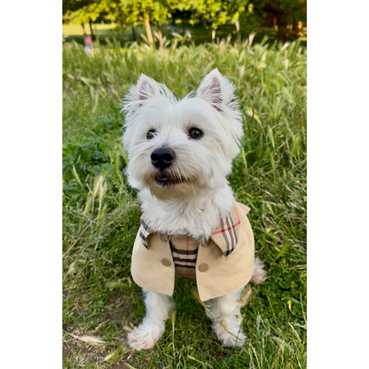 Handmade British Heritage Dog Coat — Classic Check Edition