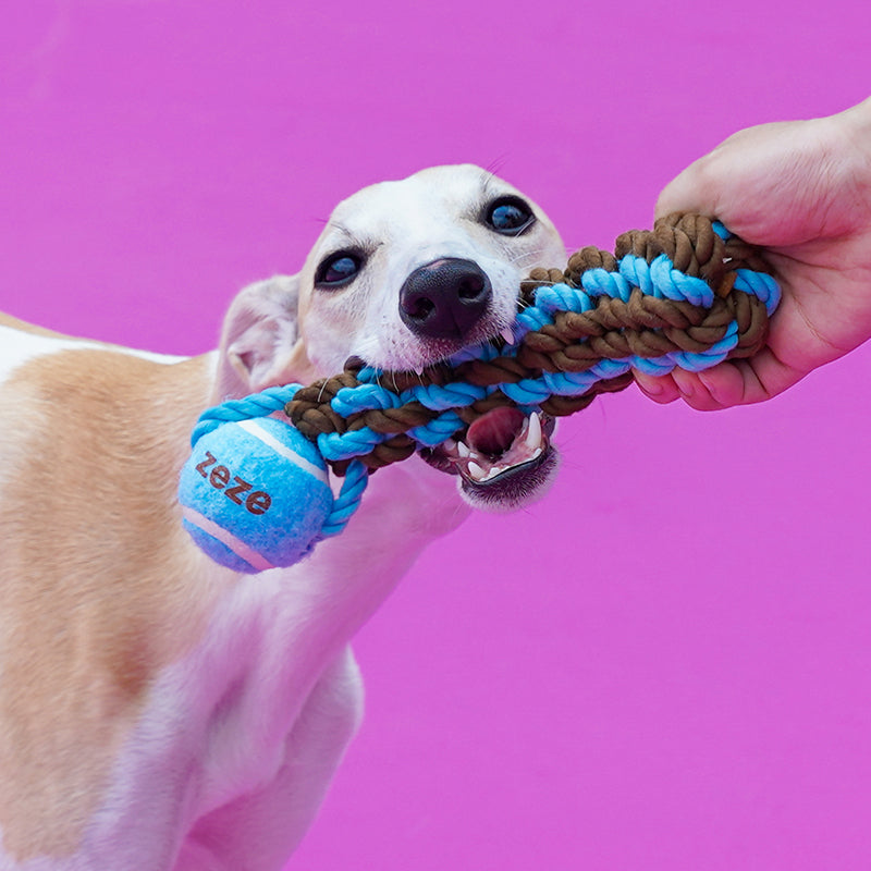 Oh Yeah! Rope & Tennis Ball Dog Toy