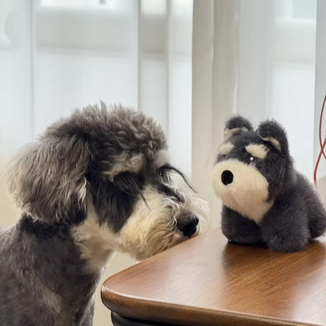 Schnauzer Washable Squeaky Dog Toy & Bag Charm