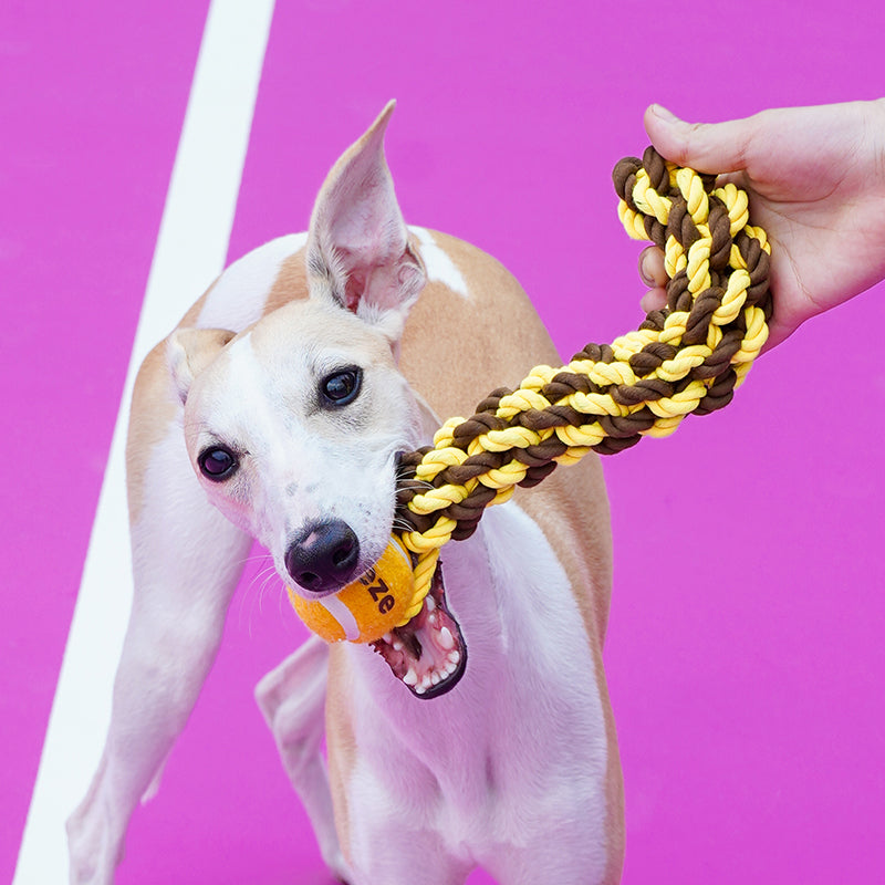 Is That So? Rope & Tennis Ball Dog Toy