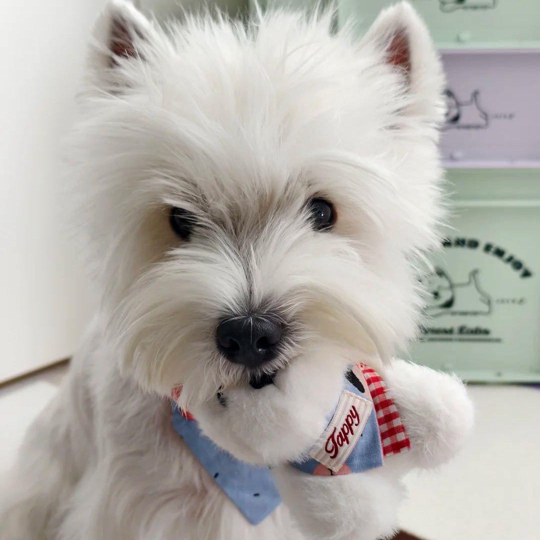 West Highland Terrier Washable Squeaky Dog Toy & Bag Charm