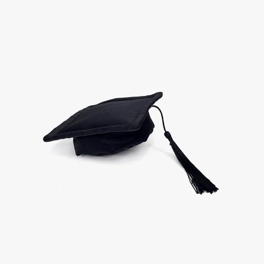 Graduate Pet Hat – Dog & Cat Graduation Cap