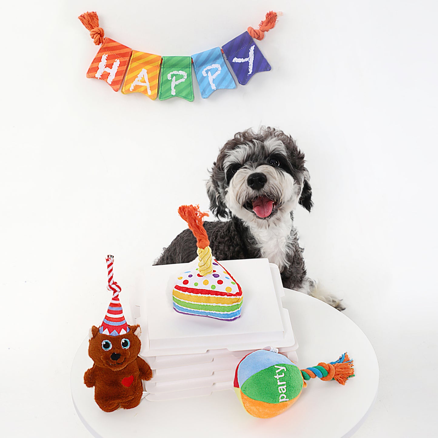 Birthday Dog Toy Series – Play, Chew & Celebrate