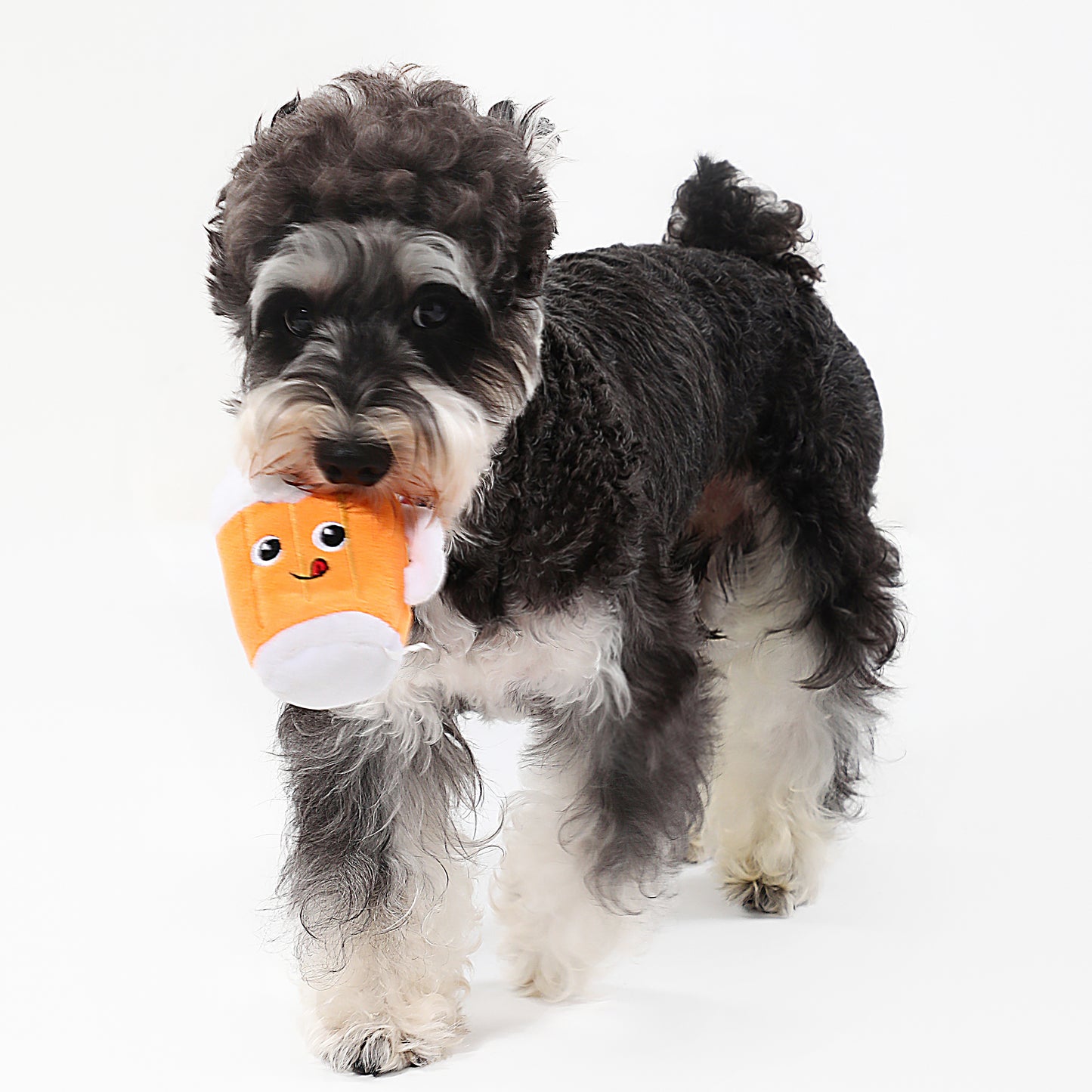 Beer Squeaky Dog Toy – Interactive Play