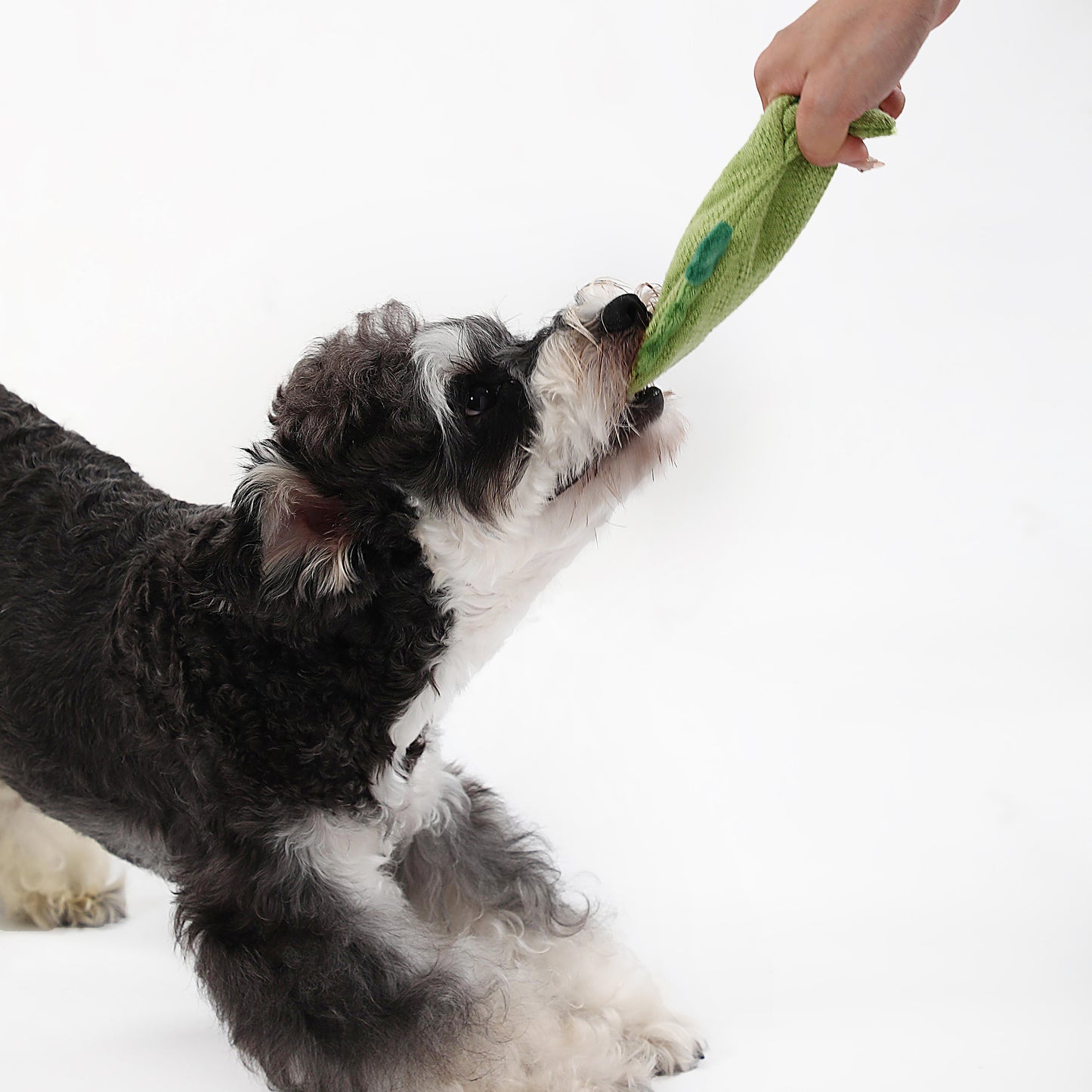 Happy Crocodile Squeaky Dog Toy – Interactive Play