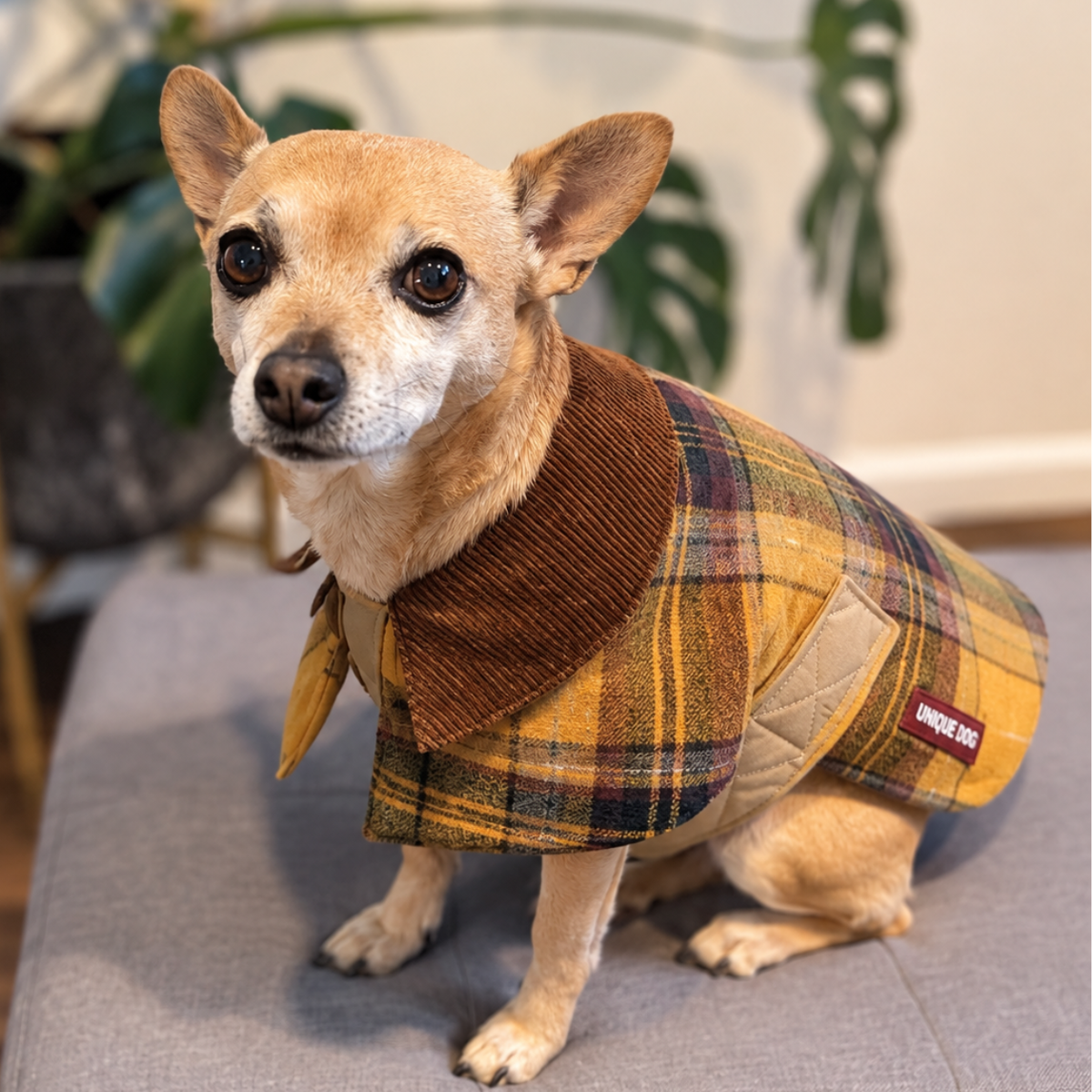 British Countrywear - The Squire Yellow Padded Coat