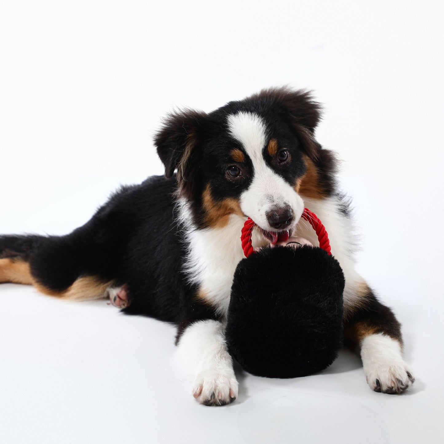 Woven Core Royal Defender Dog Toy – Durable Chew & Play