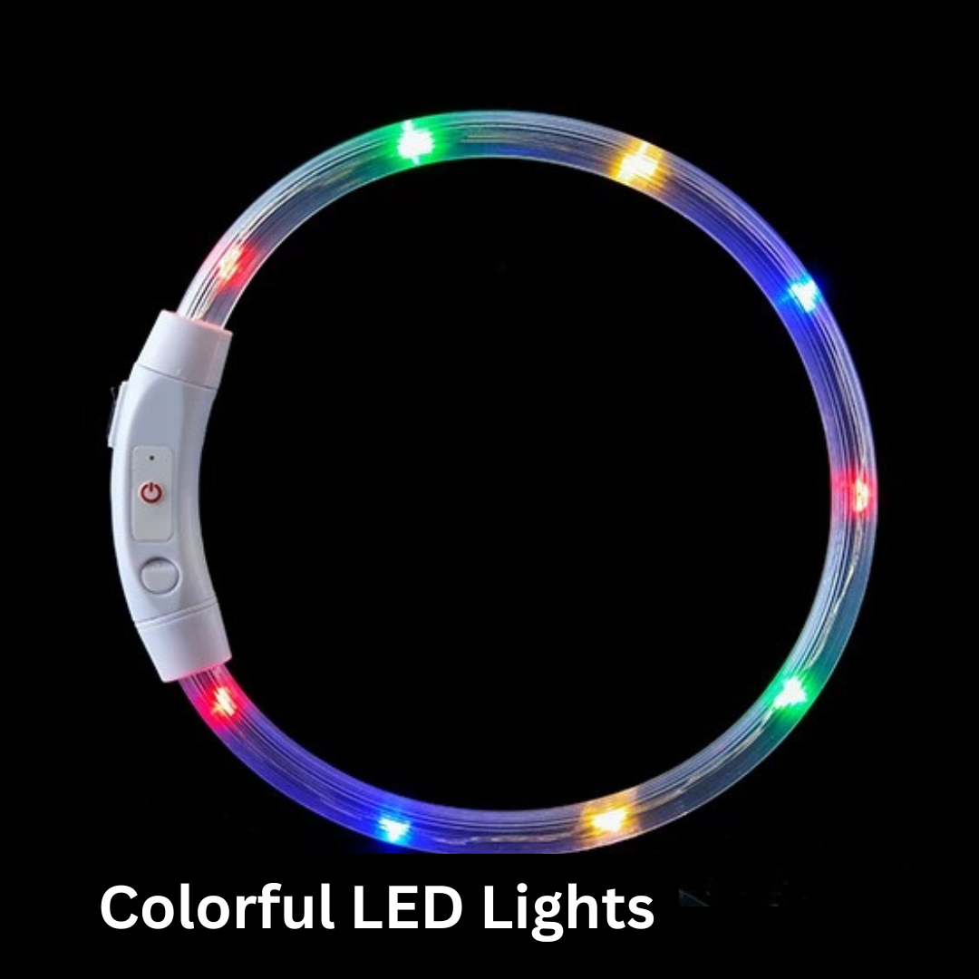 Rainbow Glow - LED Safety Collar for Pets