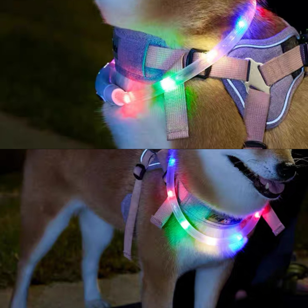 Rainbow Glow - LED Safety Collar for Pets