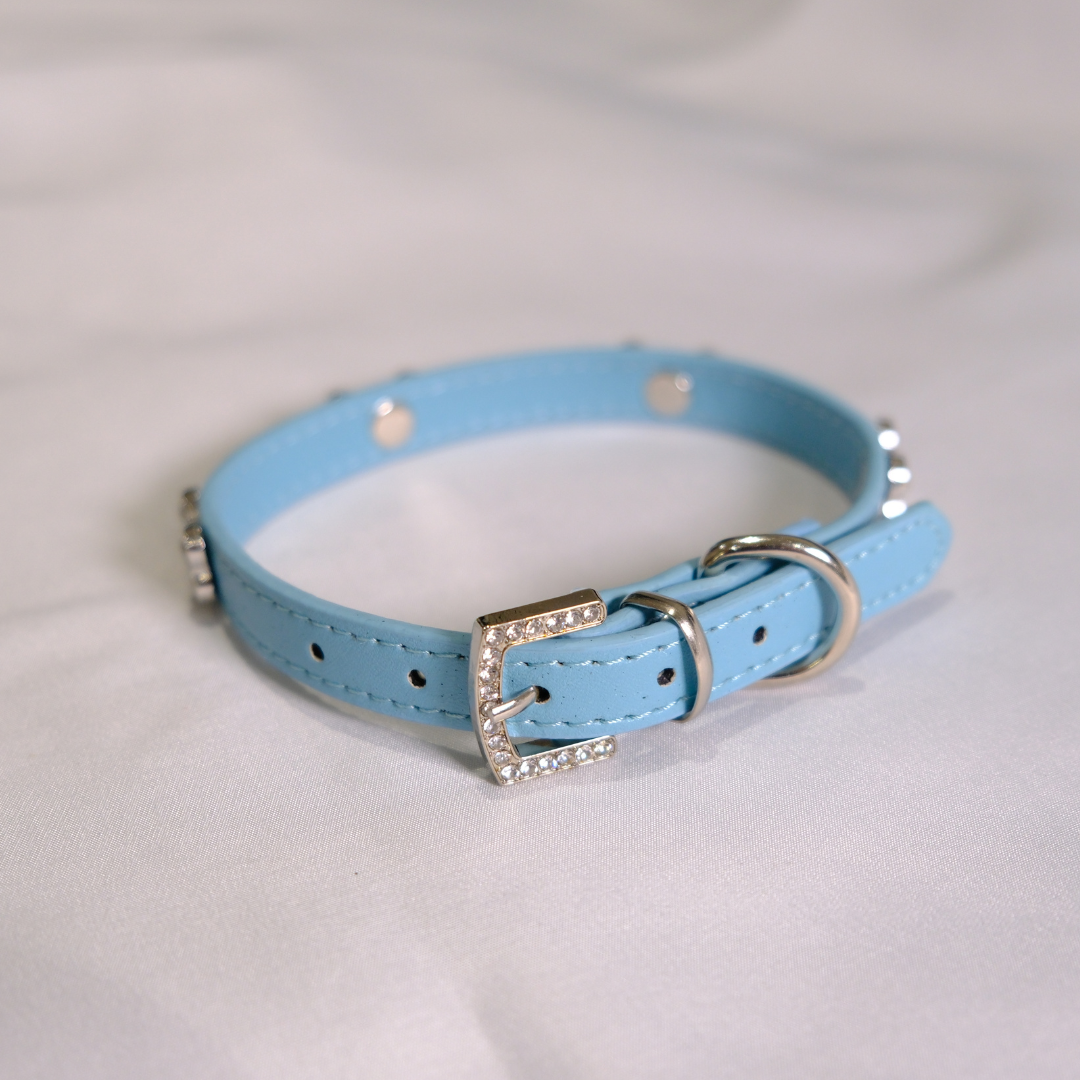 Blue Rhinestone Bone Dog Collar
