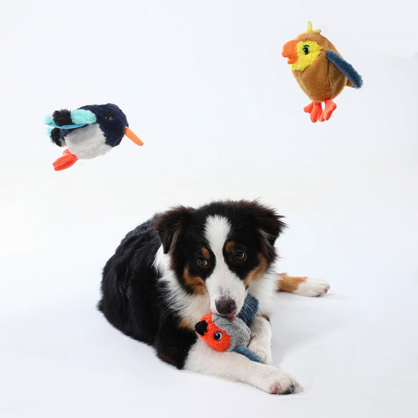 Woven Core Bird Dog Toy – Durable Chew & Play