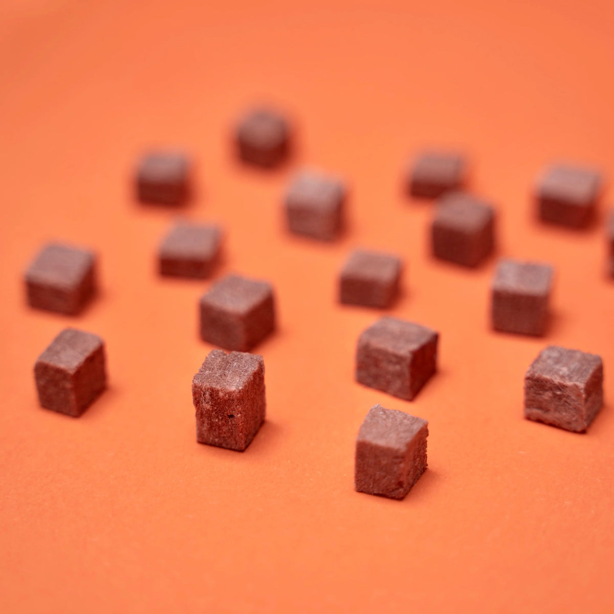 Freeze Dried Duck Blood 50g