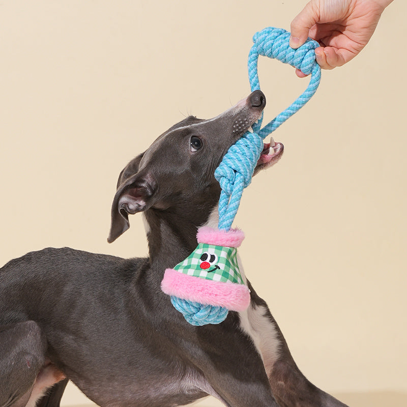 Handheld Lantern Rope Knot Dog Toy (Pink & Green)