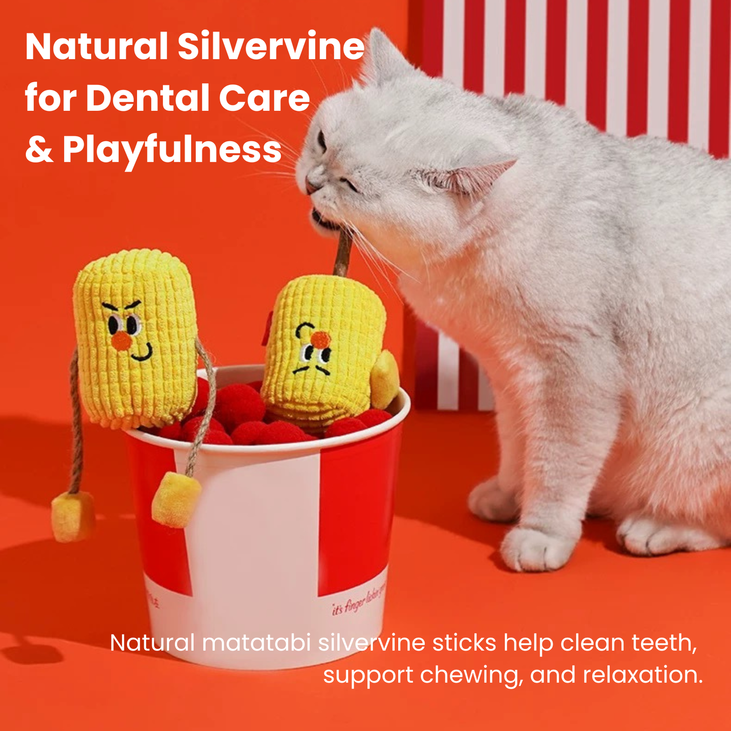 zeze Silvervine Matatabi Wood Pet Toy With Catnip