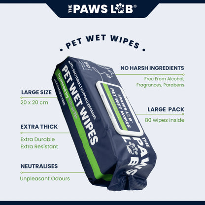 Essential Dog Care Bundle