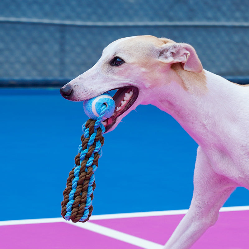Oh Yeah! Rope & Tennis Ball Dog Toy