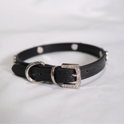 Black Rhinestone Bone Dog Collar