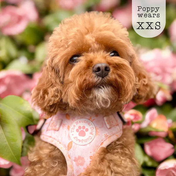 Adjustable Step-In Harness - Floral Dreams