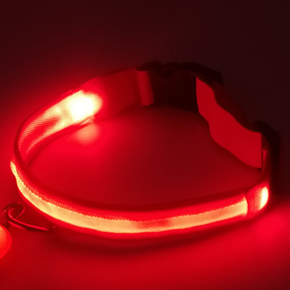 Radiant Red LED Collar