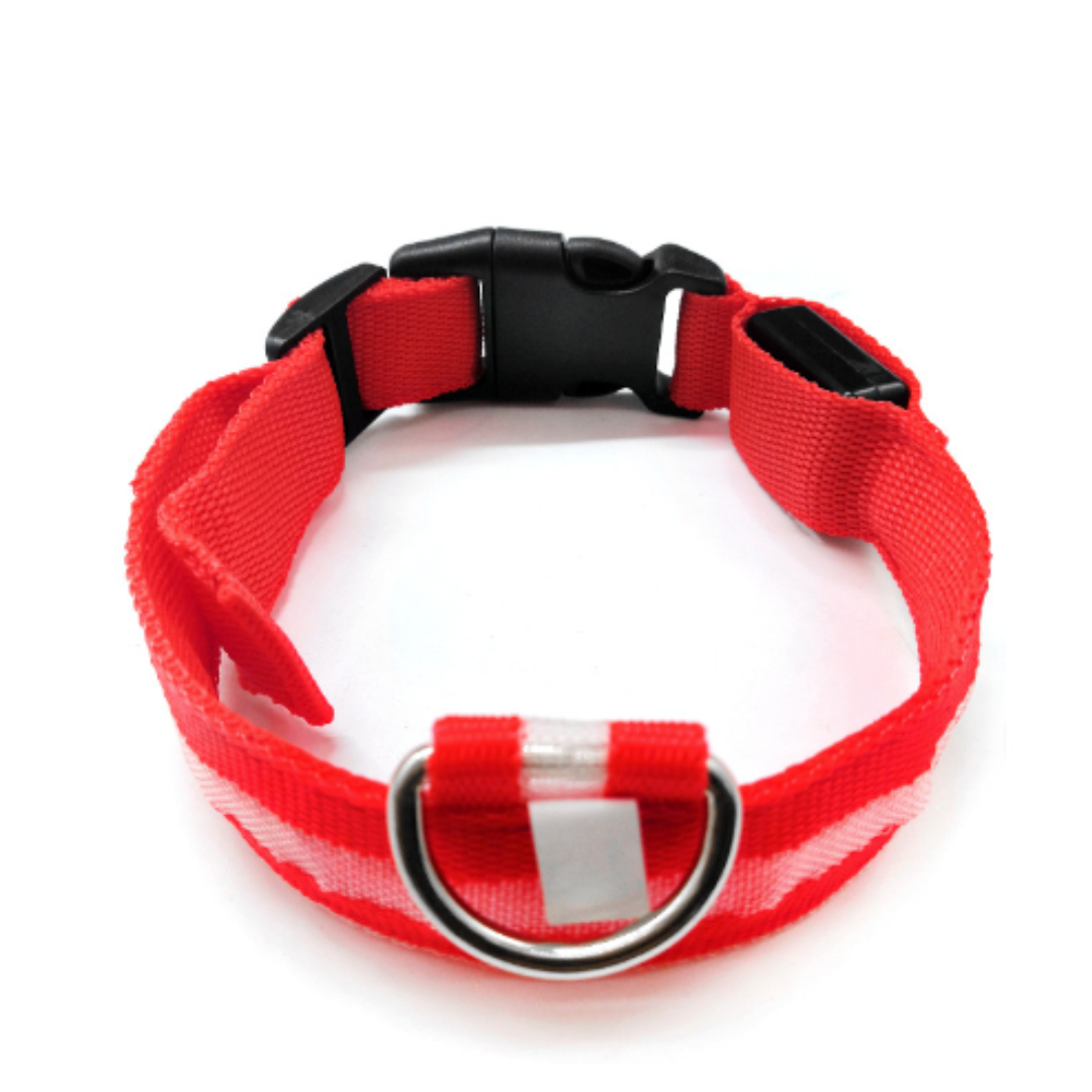 Radiant Red LED Collar