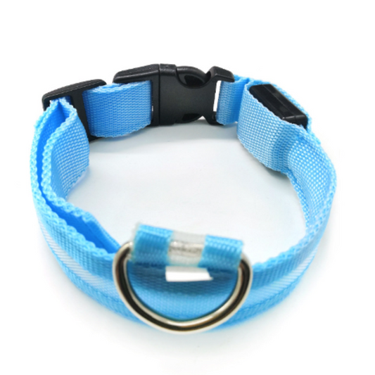 Brilliant Blue LED Collar