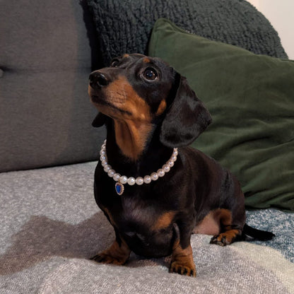 Royal Pearl Pet Necklace – Ruby Red Heart Charm | Glamorous Pet Accessory