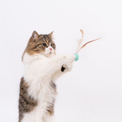 pidan Cat Toy Bouncy Ball & Feather Set (3-Pack)