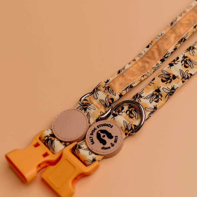 Honey Bee Hive Dog Collar