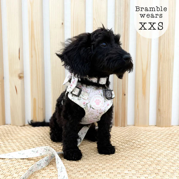 Adjustable Step-In Harness - Wild Rose