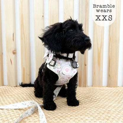 Adjustable Step-In Harness - Wild Rose