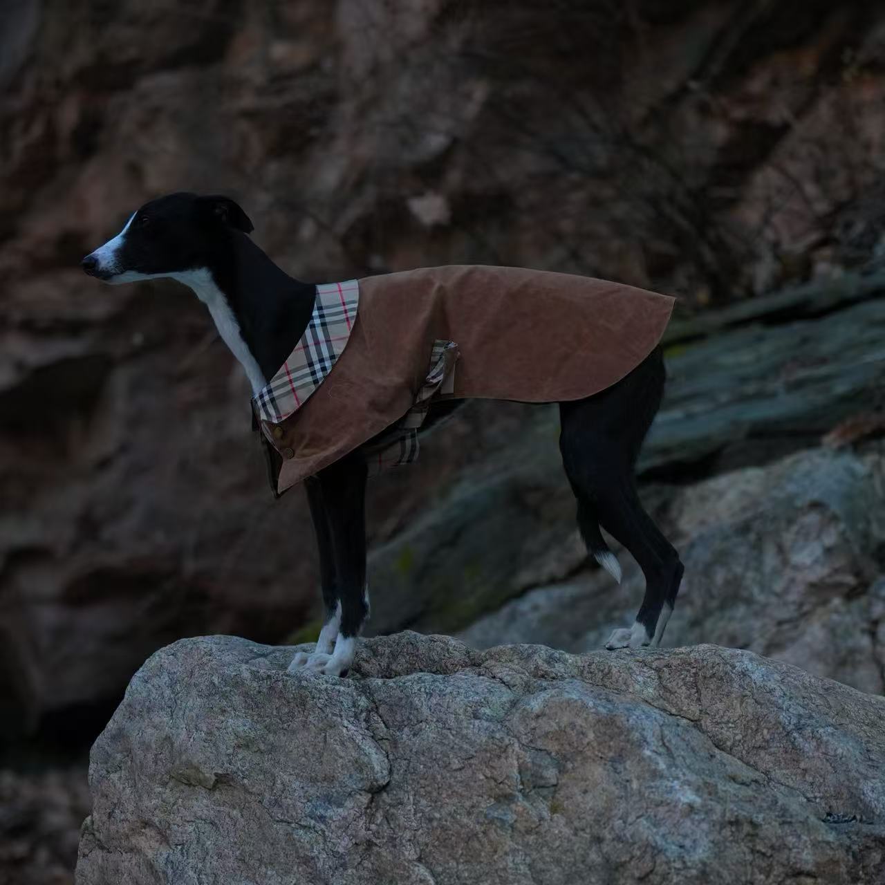 Handmade British Heritage Dog Coat — Waxed Plaid Edition