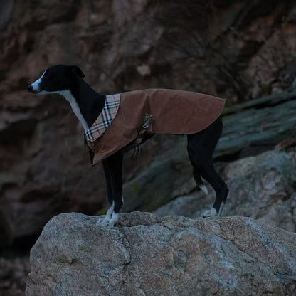 Handmade British Heritage Dog Coat — Waxed Plaid Edition