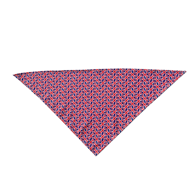 Union Twist Pet Bandana - Contemporary British Vibes