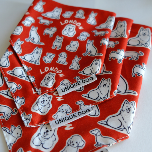 London Attitude Bandana - Unique Dog Signature Bandana