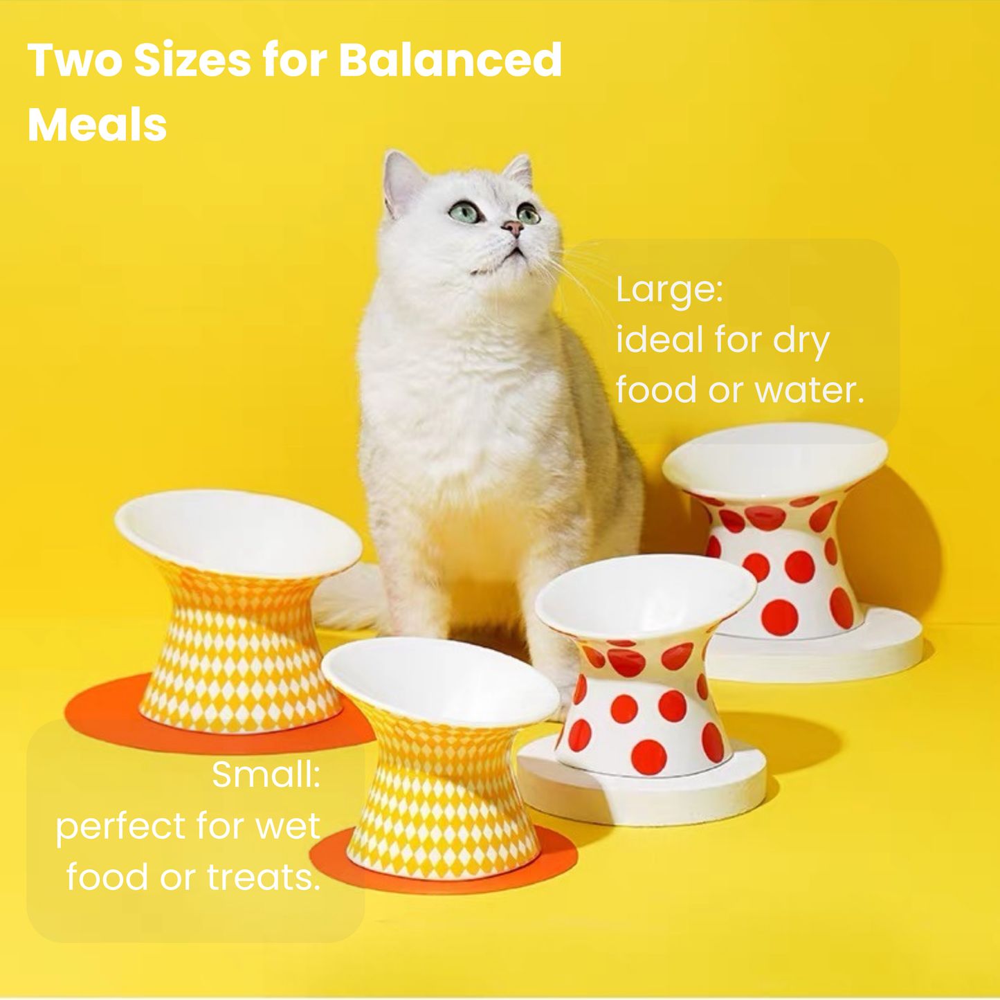 zeze Popart Ceramic Pet Bowl