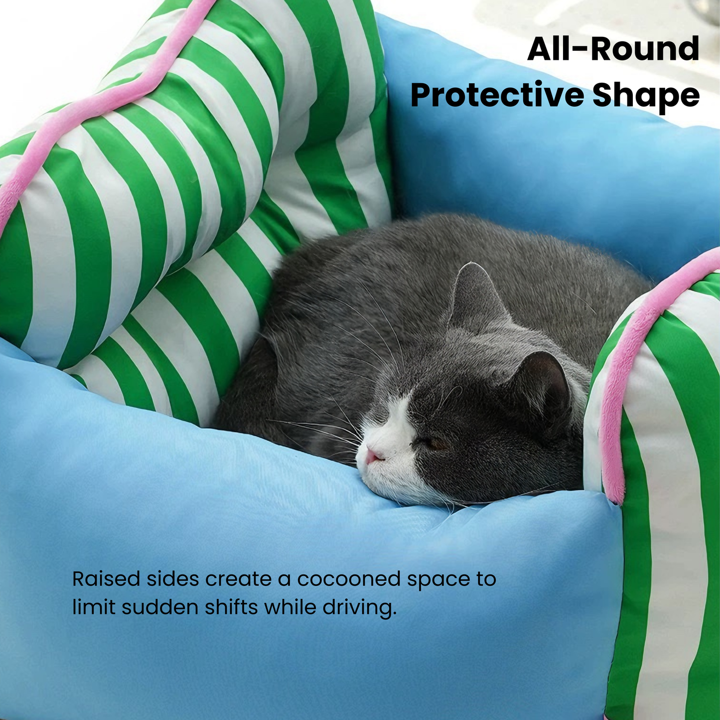 Cat Car Seat
