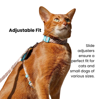 zeze Pet Leash & Harness Set