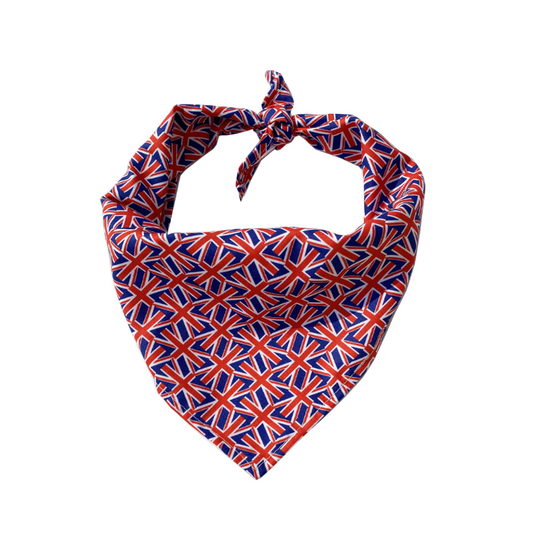 Union Twist Pet Bandana - Contemporary British Vibes