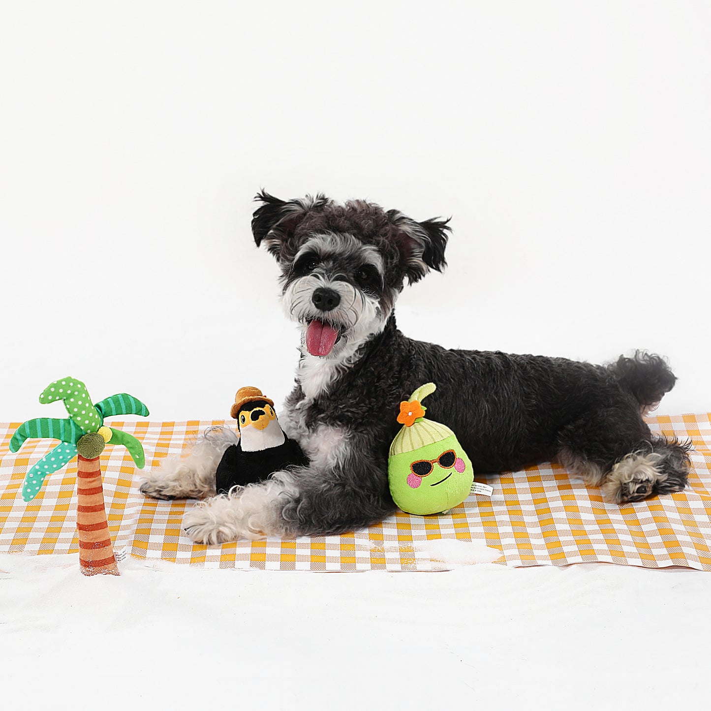 Subtropical Coconut Dog Toy – Interactive Squeaky Chew & Play