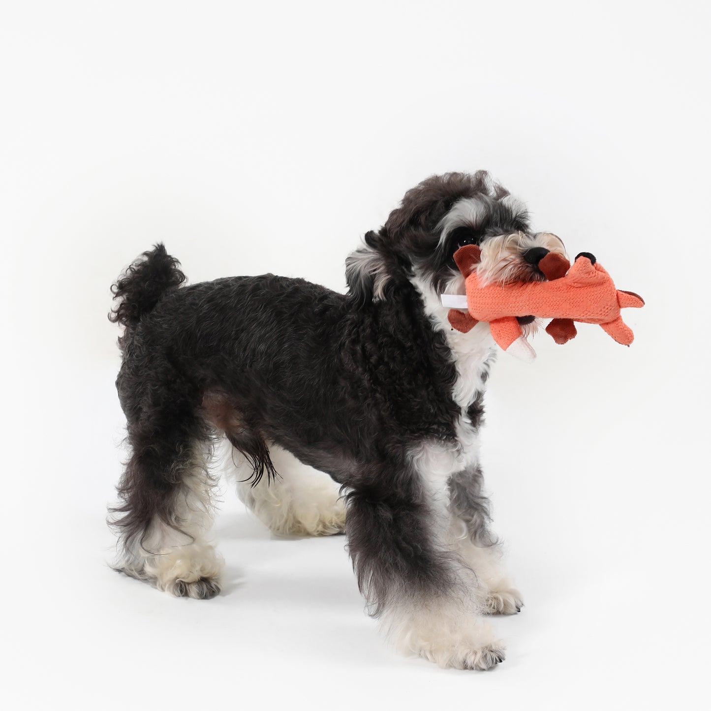 Happy Fox Squeaky Dog Toy – Interactive Play