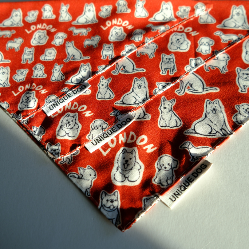 London Attitude Bandana - Unique Dog Signature Bandana