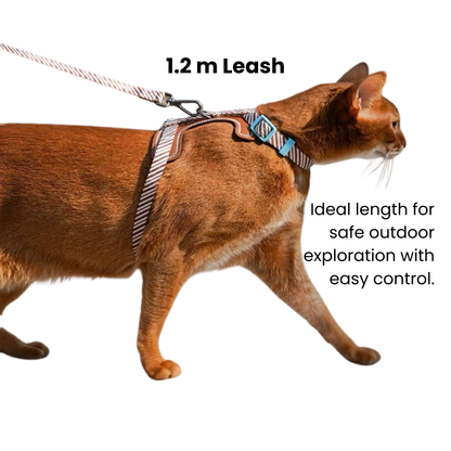 zeze Pet Leash & Harness Set
