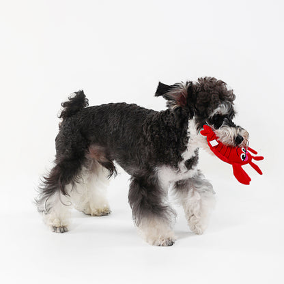 Lobster Squeaky Dog Toy – Interactive Play