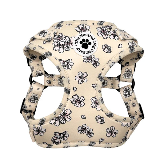 Adjustable Step-In Harness - Blooming Blossom