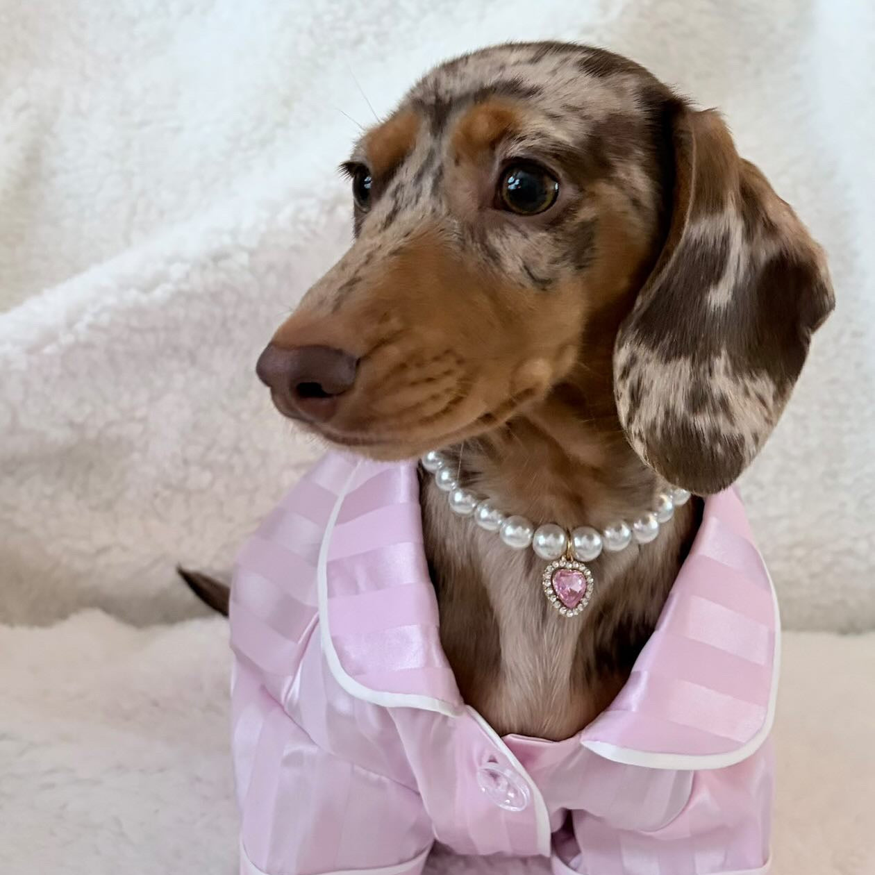 Royal Pearl Pet Necklace – Ruby Red Heart Charm | Glamorous Pet Accessory